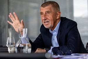 Poslanec a šéf hnutí ANO Andrej Babiš