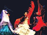 TANČIT TĚLEM I DUŠÍ. Nová choreografie, s níž se León a jeho skupina představí, se jmenuje El Poder del Flamenco Pasion.