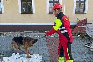 V troskách po tornádu nalézají záchranáři a hasiči živá zvířata