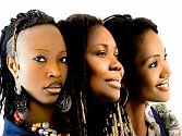 Výjimečným zážitkem bude vystoupení projektu Acoustic Africa, kde se sešly tři zpěvačky a hudebnice Dobet Gnahoré (Pobřeží slonoviny, držitelka Grammy), Manou Gallo (Pobřeží slonoviny, excelentní baskytaristka) a Kareyce Fotso (Kamerun, akustická kytara).