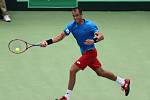 Lukáš Rosol v Davis Cupu proti Indii.