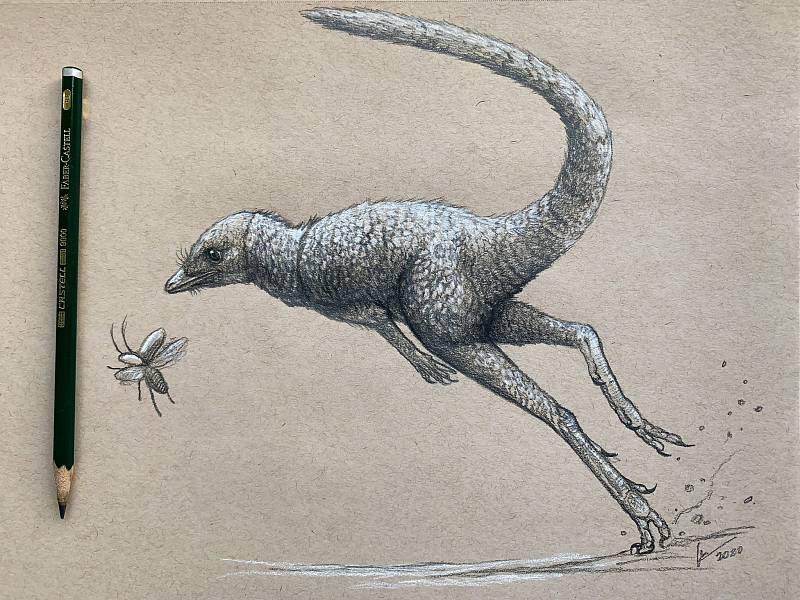 Svůj pohled na drobného předka dinosaurů Kongonaphon kely se pokusil ztvárnit také Christian Kammerer