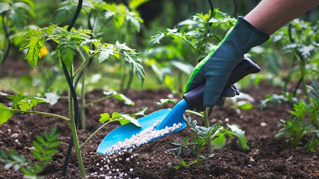 Před hnojením se ujistěte, že je hnojivo bezpečné.