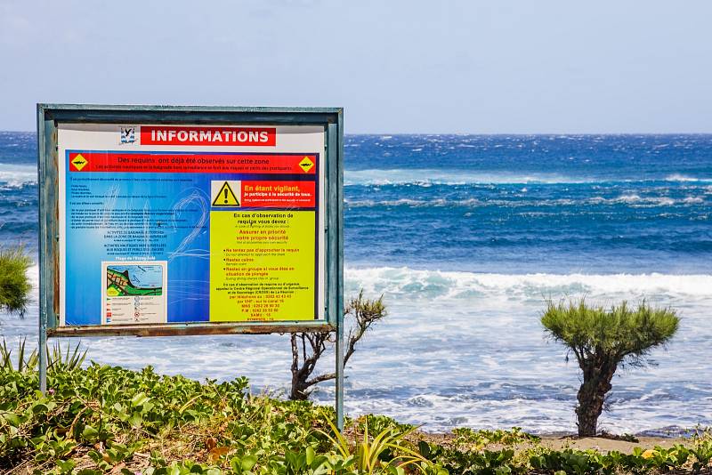 Před žraloky varují na plážích Reunionu i informační tabule. Vyskytuje se jich tu opravdu hodně. Ostrov se totiž nachází východně od Madagaskaru a leží na takzvané „žraločí dálnici“, která vede mezi Austrálií a Jižní Afrikou.