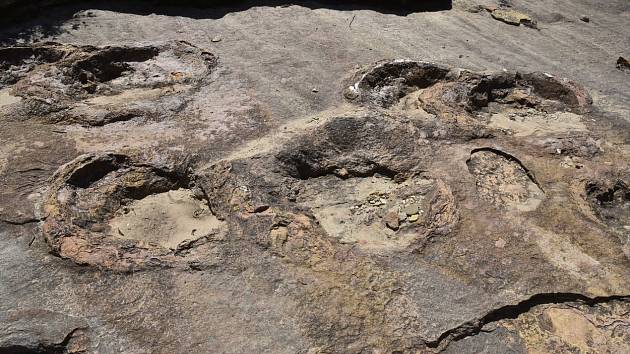 Viditelné stopy po obrovských sauropodech, ilustrační foto.