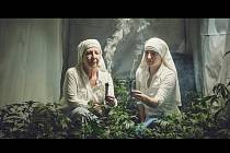 "Marihuanové sestry" ze Central Valley