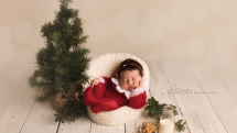 Vánoční kýč, nebo roztomilá památka? Takto fotí profíci; https://www.facebook.com/leannecurtisphotography