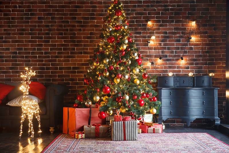 Vánoce jsou svátky radosti, pokoje a rodinné pohody v pěkně vyzdobeném domově.