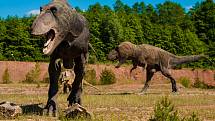 Páření bipedálních druhů dinosaurů vyžadovalo značnou míru koordinace