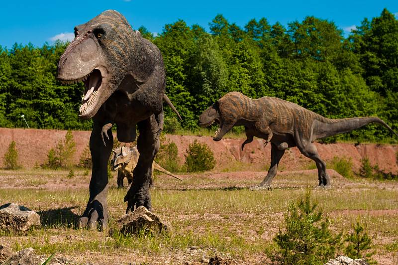 Páření bipedálních druhů dinosaurů vyžadovalo značnou míru koordinace