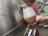 Boom pivovarů v Česku v minulých letech mírně ochladl. Přesto více nových pivovarů vzniká, než jich zanikne.