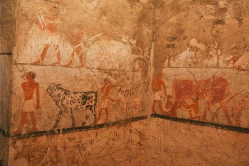 Archeologové objevili 4000 let starou hrobku kněžky Hetpet 
