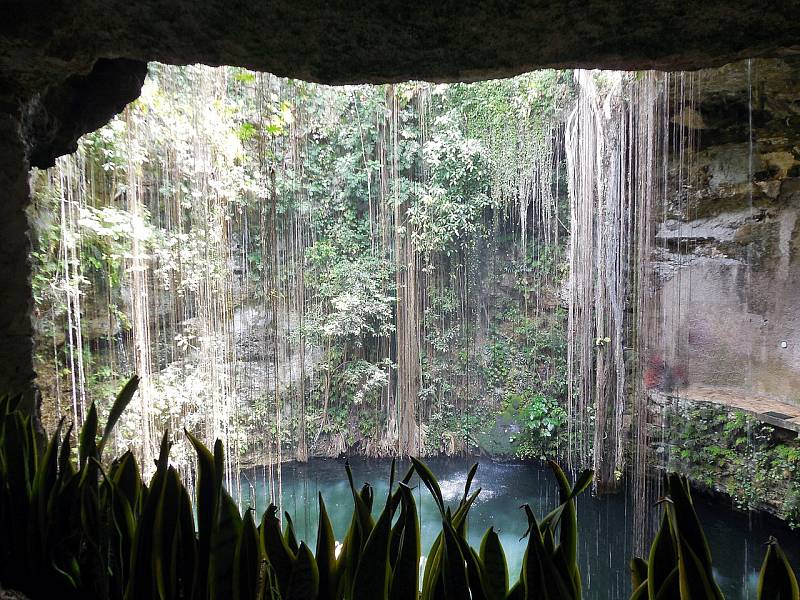 Přírodní studna Cenote Ik-Kil v Chichén Itzá