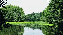 Neobyčejnou pestrostí biotopů vyniká Chráněná krajinná oblast Třeboňsko, která od roku 1977 patří do programu UNESCO.