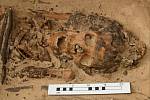Archeologové našli kostru s homolovým kloboukem, odpovídajícím staroegyptským kresbám
