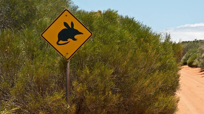 K ochraně bandikutů pomáhají v Austrálii i varovné dopravní značky.
