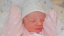 ADÉLA KLESZCZOVÁ se narodila ve středu 27. prosince v jablonecké porodnici mamince Ivě Kleszczové ze Všeně.  Měřila 48 cm a vážila 3,11 kg.   