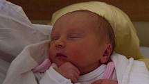 NINA JOHASOVÁ se narodila ve středu 29. listopadu v jablonecké porodnici mamince Lucii z Pulečného.  Měřila 46 cm a vážila 2,71 kg.