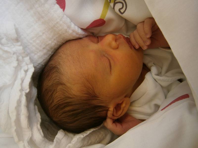 ANNĚ KUČOVÉ a Janu Palašovi z Jablonce se narodil 25. července malý chlapeček. Měřil 45 cm a vážil 2450 g. 