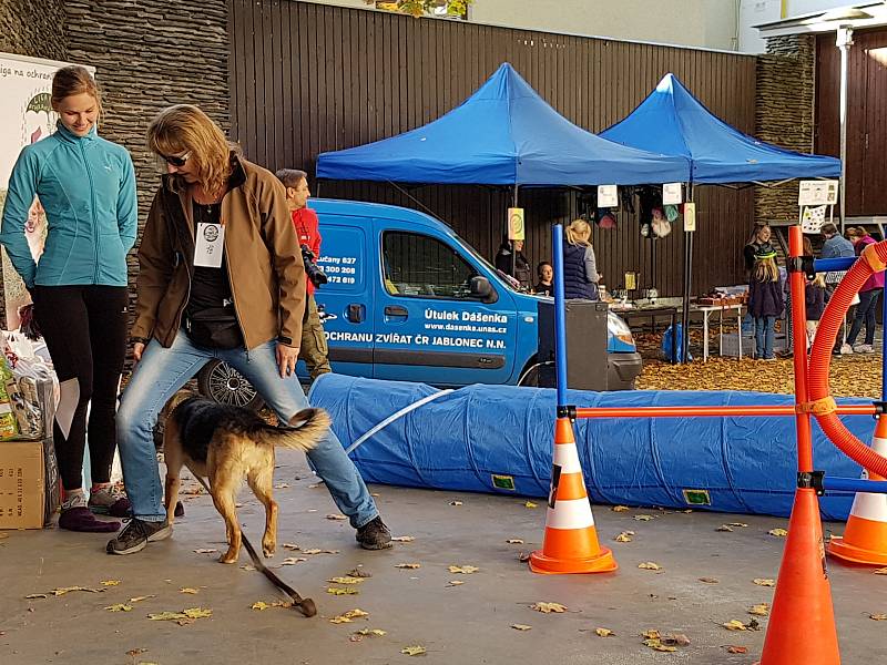 K tradičním podzimním akcím patří soutěž Jablonecký voříšek, kterou pořádá útulek Dášenka v Lučanech. 19. ročník se konal na Letní scéně jabloneckého Eurocentra.