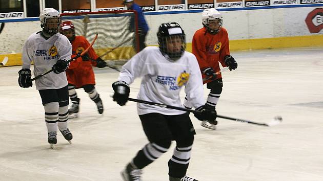 Den hokeje je celostátní akce, kterou můžete navštívit v sobotu od 10 hodin na jabloneckém zimním stadionu.