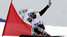 Obří slalom na snowboardu na evropské olympiádě mládeže EYOWF 2011 v Rejdicích. 