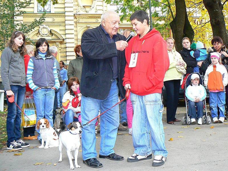  Klání se zúčastnilo 36 psů. Po promenádě jednotlivé majitele vyzpovídal Zdeněk Srstka v roli moderátora akce. Někteří účastníci předvedli i řadu dovedností svých psů. Vedle klasických povelů, nechyběl tanec, válení sudů či štěkání a vytí na povel. 