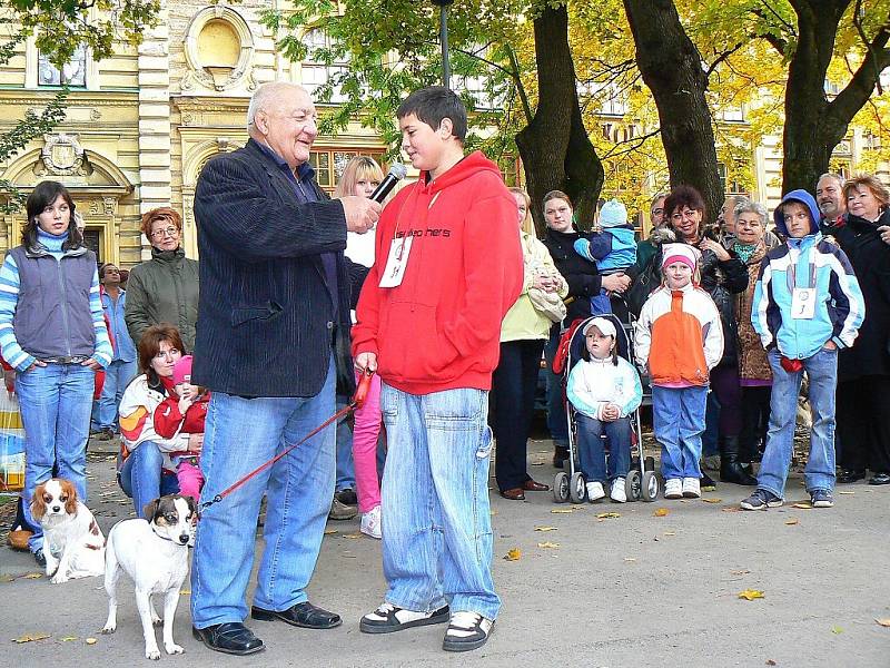  Klání se zúčastnilo 36 psů. Po promenádě jednotlivé majitele vyzpovídal Zdeněk Srstka v roli moderátora akce. Někteří účastníci předvedli i řadu dovedností svých psů. Vedle klasických povelů, nechyběl tanec, válení sudů či štěkání a vytí na povel. 