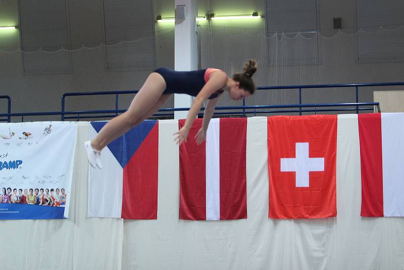 V jablonecké městské sportovní hale se utkali závodníci z celé Evropy. A skákali pořádně vysoko.