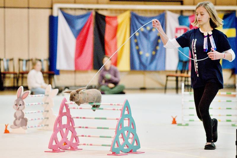 Česká reprezentační dvojice během parkuru elitní třídy.