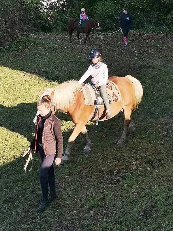 Dračkyáda v Železném Brodě