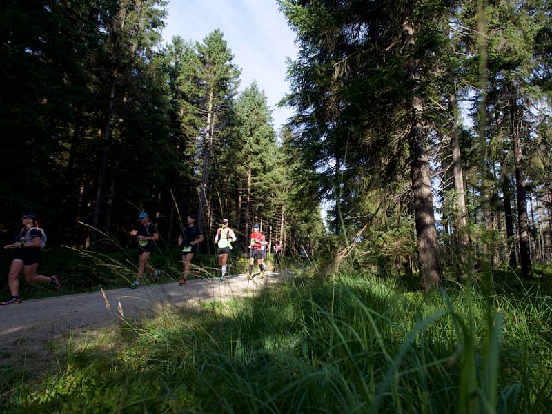 Druhý ročník ČEZ Jizerská 50 RUN přilákala 1 251 závodníků.