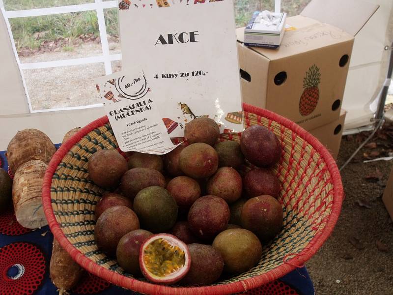 Africké trhy na zahradě jabloneckého pivovaru Volt