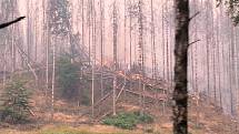 Dobrovolní hasiči JSDH Jablonec nad Nisou Paseky zasahují při požáru v Národním parku České Švýcarsko.