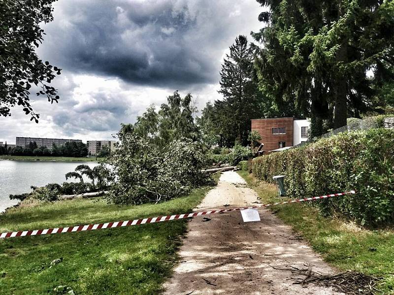 Sobotní apokalypsa po krátké ale razantní bouřce s vichřicí. 