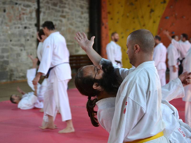 Dva věhlasní zahraniční mistři bojového umění, aikido a taichi, vedou sportovní kemp v nejvýše položené osadě Jizerských hor na Jizerce.