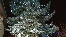 Vánoční strom u autobusové zastávky v Radčicích na Železnobrodsku