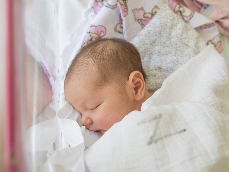 MARIE CECÍLIE VYTVAROVÁ se narodila v úterý 20. června mamince Petře Vytvarové z Loukovce. Měřila 51 cm a vážila 3,53 kg.