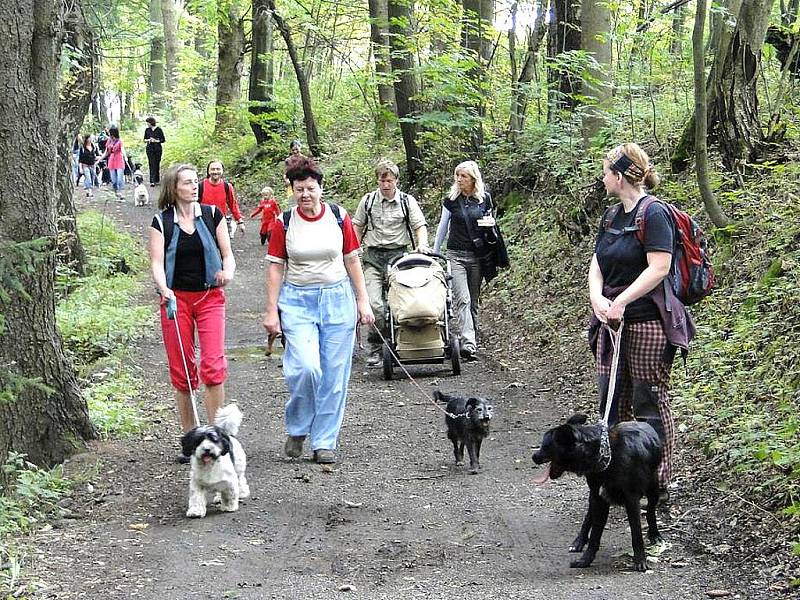 Podzimní psí putování Po stopách Dášenky na Bramberk.