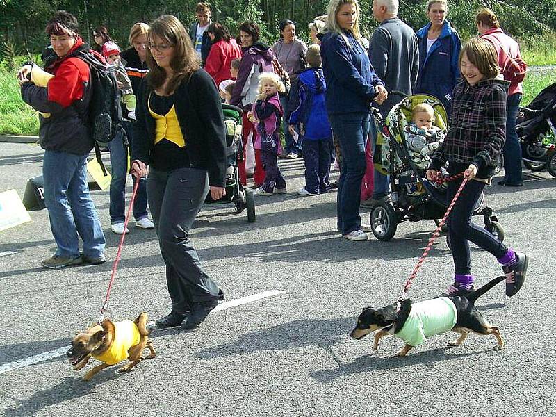 Manekýnkami nedělní odpolední módní přehlídky nebyl nikdo jiný než opuštění pejsci z lučanského útulku Dášenka. 