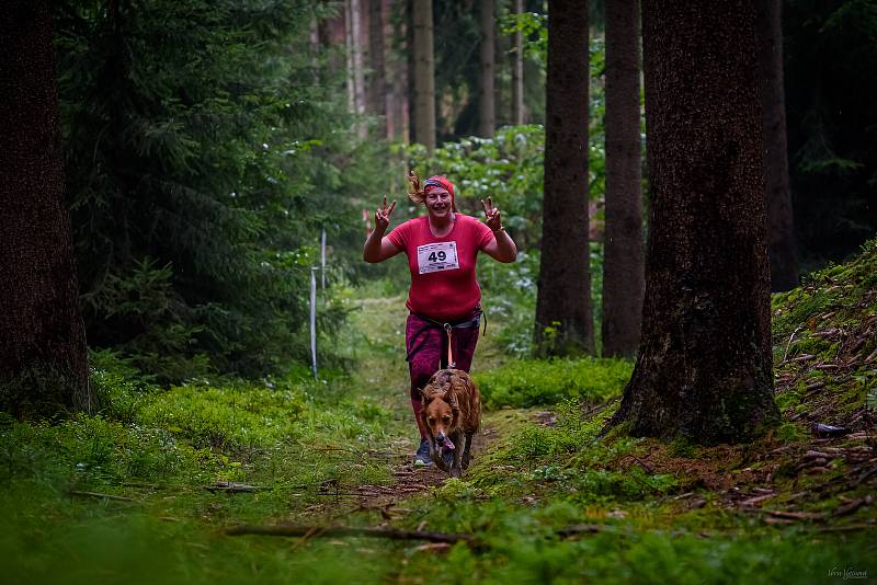 Hruboskalský canicross.