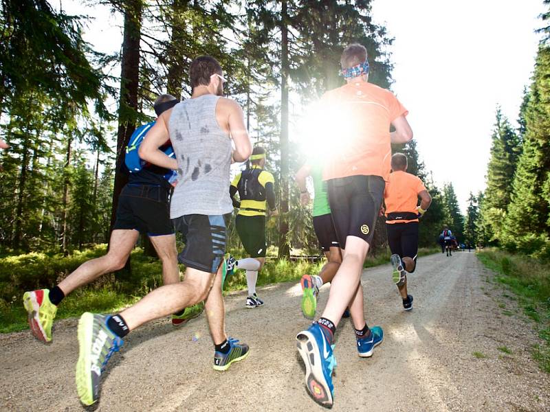 Druhý ročník ČEZ Jizerská 50 RUN přilákala 1 251 závodníků.