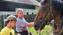 Šimi je právě vyšetřován veterinárním lékařem Jaromírem Baudyšem mladším. Tažný kůň utrpěl pádem naštěstí jen lehké zranění ve formě oděrků, zachránil ho masivní chomout, který nedovolil, aby se Šimi udusil. Za chvíli se vypraví odpočívat. 