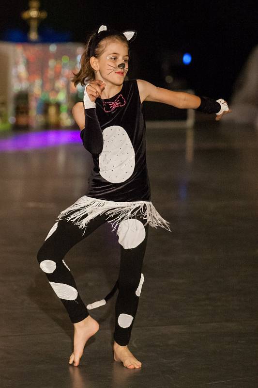 Taneční mistrovství České republiky, Czech Dance Championship 2017, začalo 9. června v Jablonci nad Nisou.