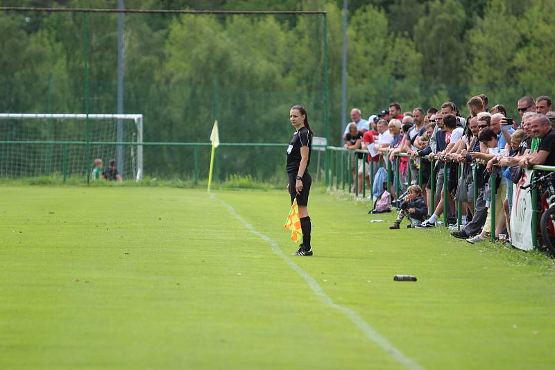 Áčko Jiskry Mšeno vybojovalo pohár divize C a má také nejlepšího střelce Nikolase Daníčka.