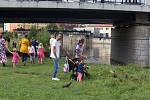 Tradičně se Železnobrodská neckyáda konává v červnu. Letos ji ale pořadatelé kvůli koronavirové krizi posunuli na konec srpna.