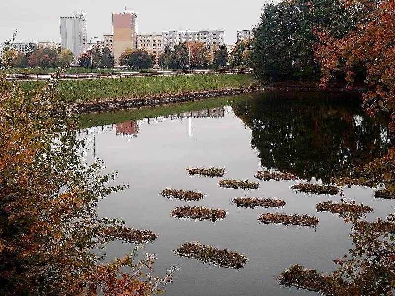 Zelené ostrůvky na hladině druhé nádrže jablonecké přehrady Mšeno pomáhají čistit vodu.