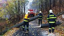 Jablonecko, silný vítr ve Smržovce sroloval střechu na domě, padaly stromy na trati "zubačky" z Tanvaldu do Horního Polubného. Stromy odstraňovali hasiči i z cest.