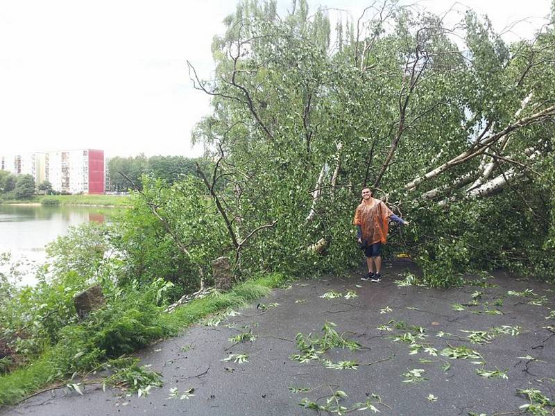 Sobotní apokalypsa po krátké ale razantní bouřce s vichřicí. 