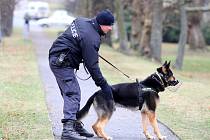 Policejní psovod - ilustrační snímek